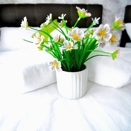 Vivacity Jazz Suite New Luxury Vivacity Cozy Home Lv8 Κουτσίνγκ Εξωτερικό φωτογραφία