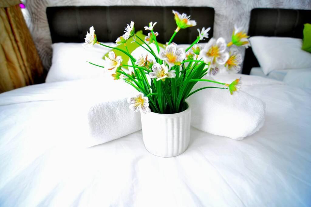 Vivacity Jazz Suite New Luxury Vivacity Cozy Home Lv8 Κουτσίνγκ Εξωτερικό φωτογραφία